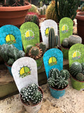 Cactus Mix