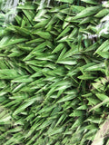 Treillis osier ext avec feuillage artif