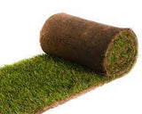 Gazon naturel en rouleau au M2